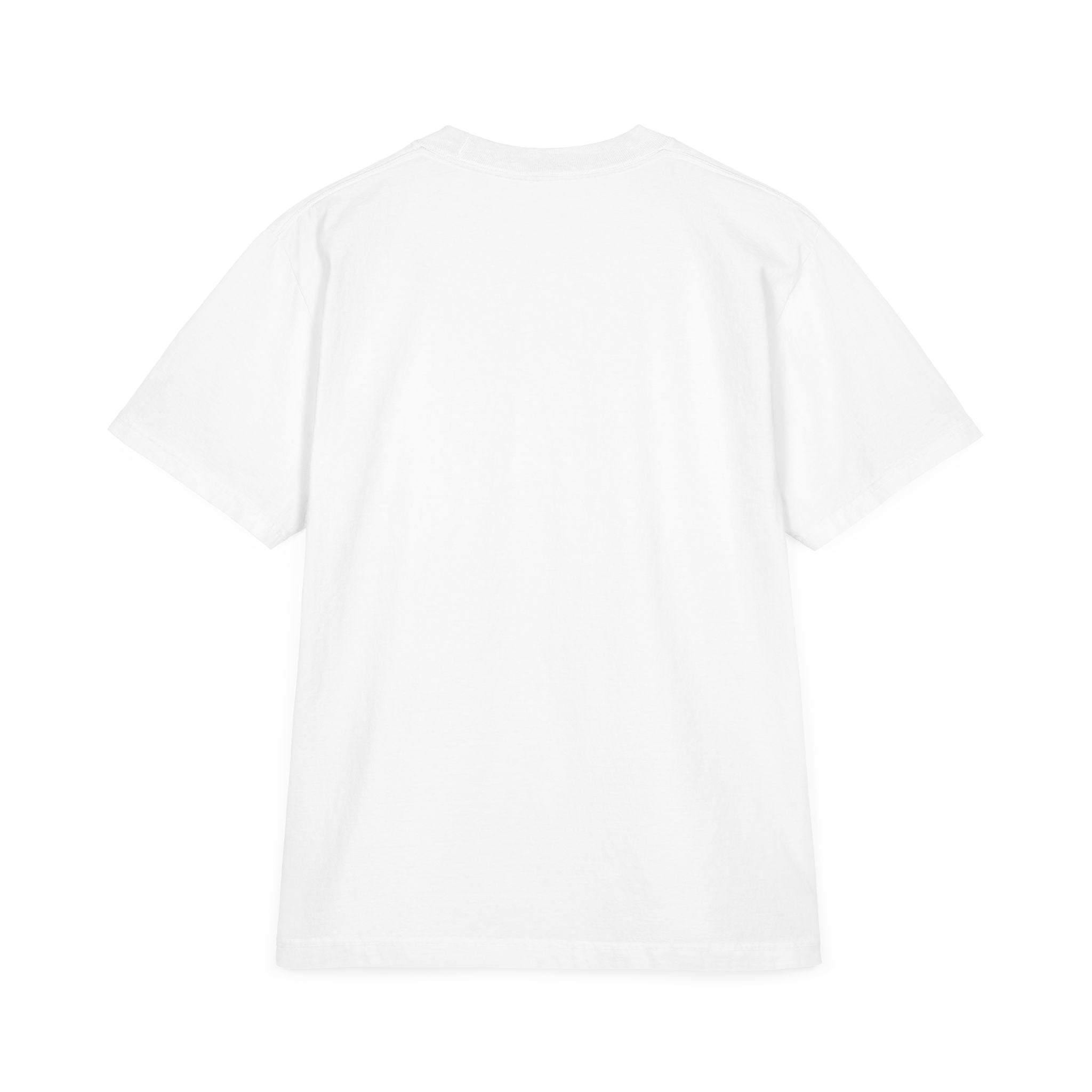 The Tandolorian